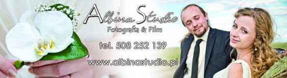 Albina Studio